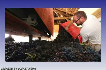 Coronavirus: France's champagne industry goes flat amid pandemic