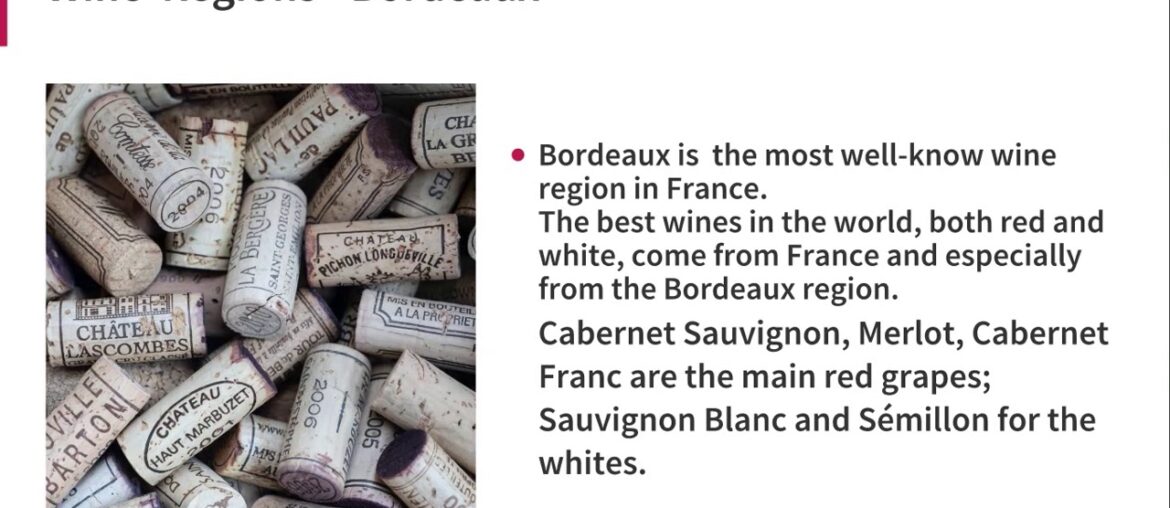Wines Of France