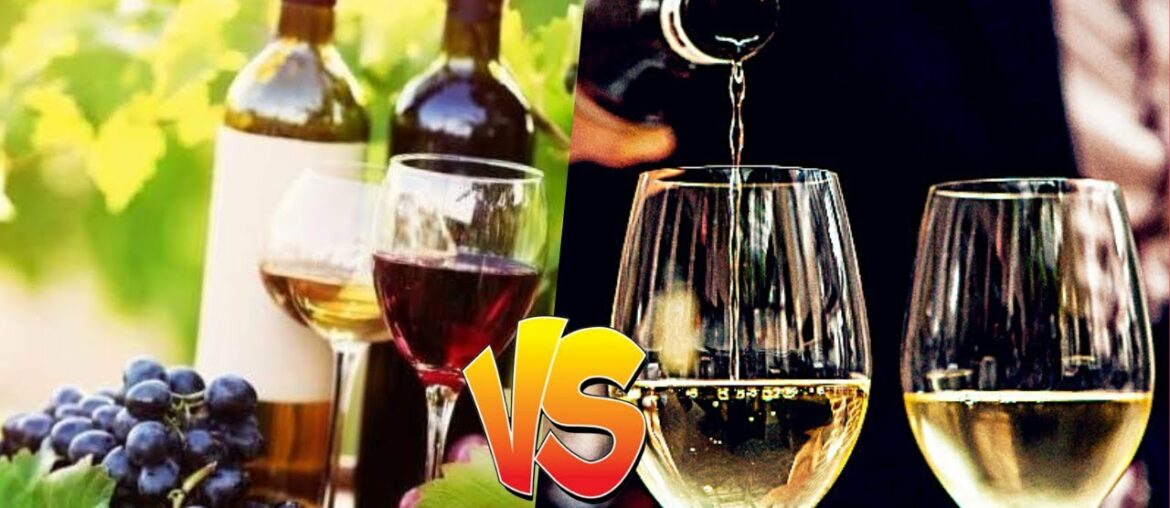 Yarra Valley Wine versus French Wine || Who Wins?