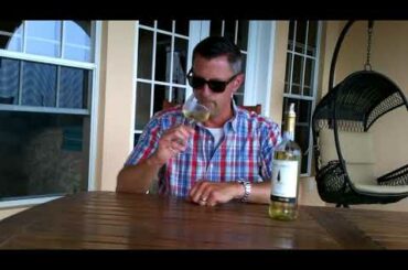 Pinot Grigio - Know Wine In No Time