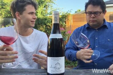 2016 Domaine Jean Fournier Bourgogne Rouge Marsannay, France Shiverick Imports