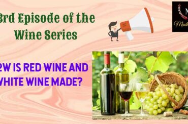 How wine is made? | Making process of Red wine and White wine | 3rd Episode of the Wine Series