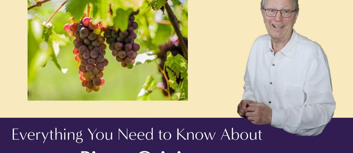 Everything You Need to Know About Pinot Grigio Everything You Need to Know About Pinot Grigio