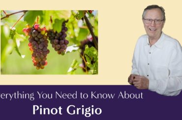 Everything You Need to Know About Pinot Grigio