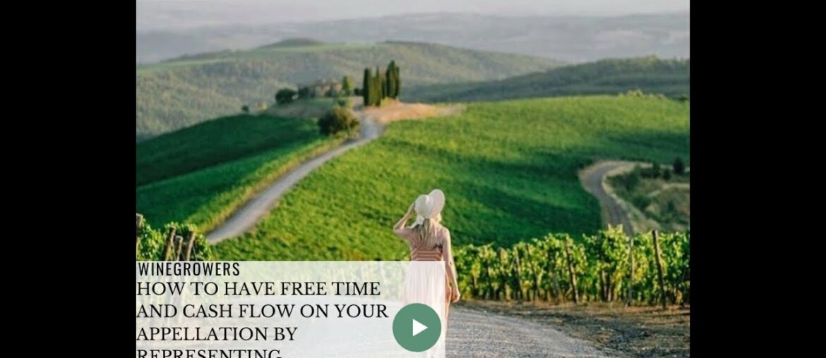 🍷How to have free time and cash flow on your appellation by representing a Unique wine 🍷How to have free time and cash flow on your appellation by representing a Unique wine