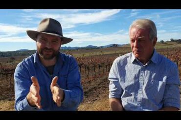 Part 2: De Beaurepaire Wines Family Interviews - 'On Terroir' with Richard & Will de Beaurepaire
