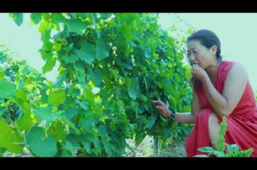 Oeno Presents Silver Heights Winery in China