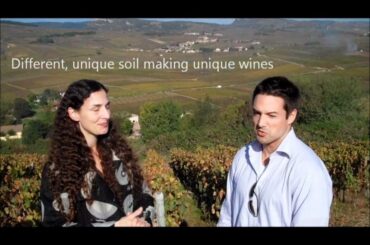 Nick's Wine Journal - Pouilly Fuisse, France