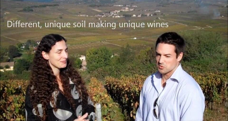 Nick's Wine Journal - Pouilly Fuisse, France