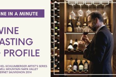 Napa Valley Wine Profile || Michel-Schlumberger Tasting