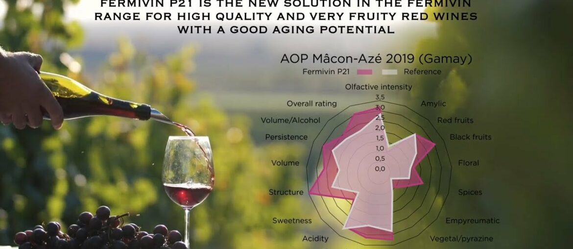Fermivin P21:The new yeast for high quality fruity red wines