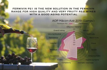 Fermivin P21:The new yeast for high quality fruity red wines