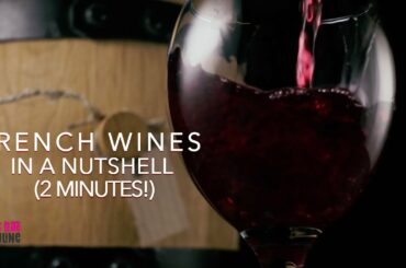 French Wines in a Nutshell 2 minutes!