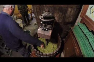 Wine making in France 2019