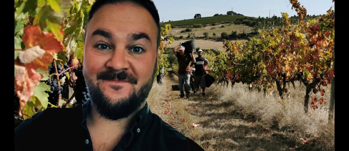 Sam's Wine Club - Portugal Tasting August 22nd