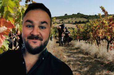 Sam's Wine Club - Portugal Tasting August 22nd