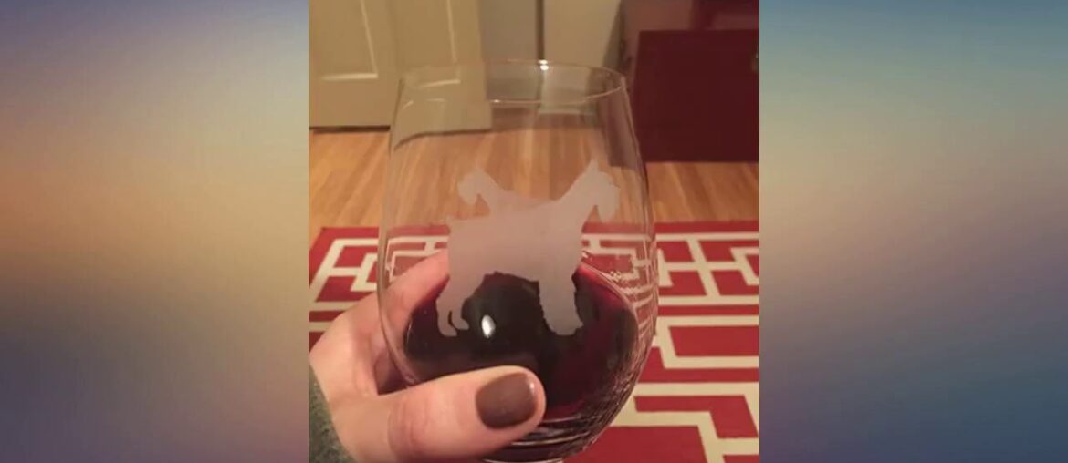 French Bulldog Wine Glasses (Set of 2) | Unique for Dog Lovers | Hand Etched with review