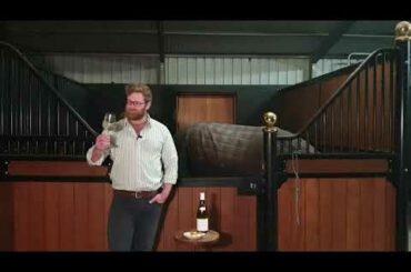 Taste Then Drink Episode 15: How to Taste Then Drink Merlin Cherrier Sancerre