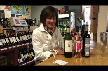 Visit Italy, France and Spain with Puppie