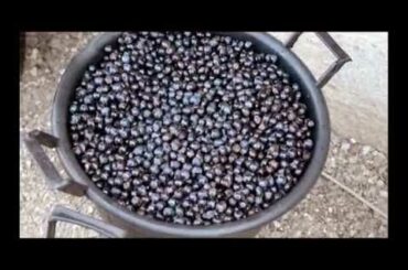 When I was making my own wine, a long time ago...