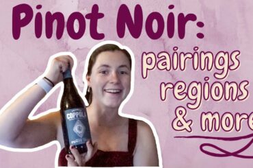 Understanding Pinot Noir - Beginner’s Guide!! | Happy National Pinot Noir day!