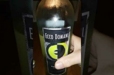How to make Lemon Ginger Wine with Ecco Domani Pinot Grigio, & Massenez Creme de Gingembre