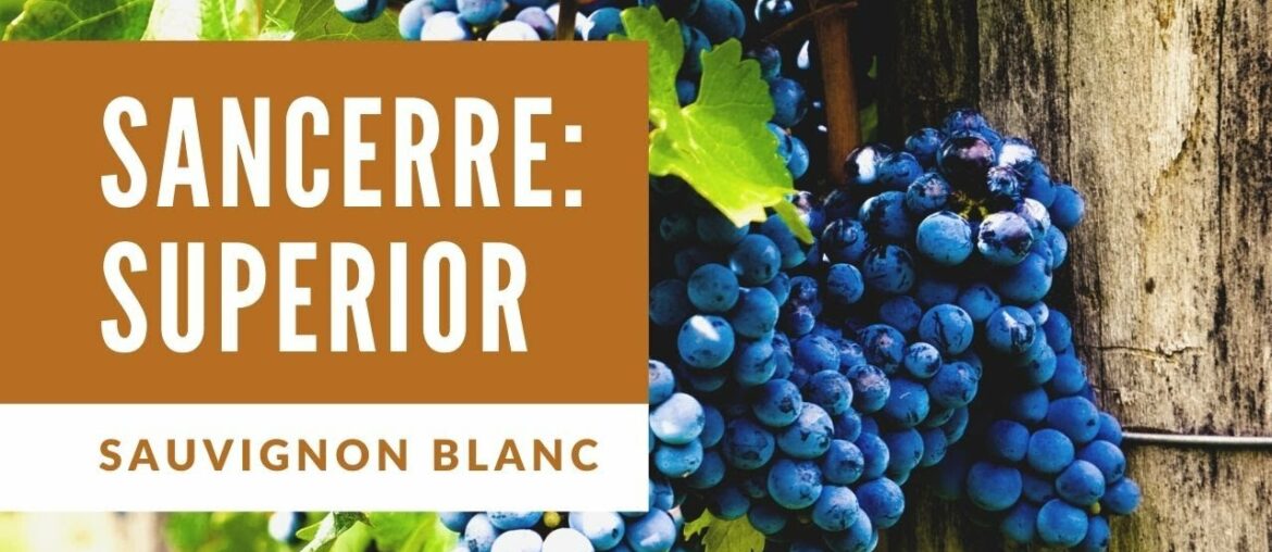 Sancerre White Wine & Pairing || Full Tasting