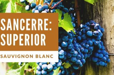 Sancerre White Wine & Pairing || Full Tasting