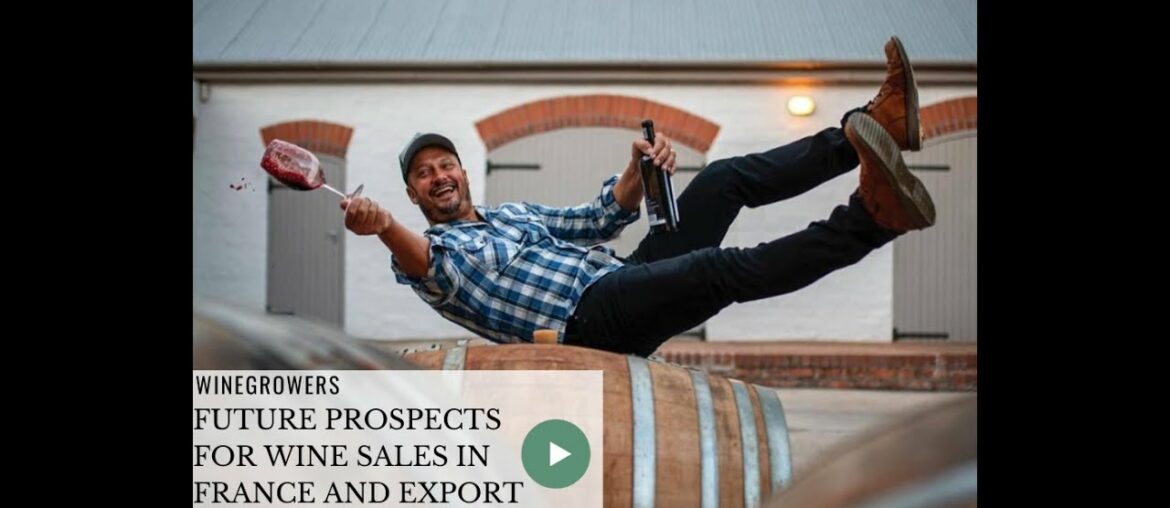 🍷Future prospects for wine sales in France and Export
