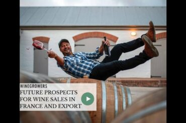 🍷Future prospects for wine sales in France and Export