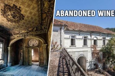 Infiltration: The Dream Palace - Abandoned Winery in Portugal