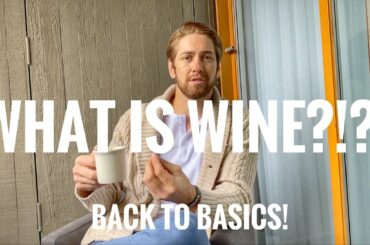 Back to Basics   What is Wine?!
