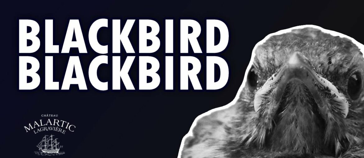 Why Merlot? Ep. 6, Le Grand Voyage