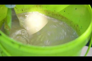 The Garden Gurus - Grape Care