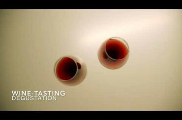 Wine Tour Bordeaux, Champagne Tour, Paris Tour with Tesla car