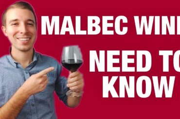 Malbec Wine For Beginners