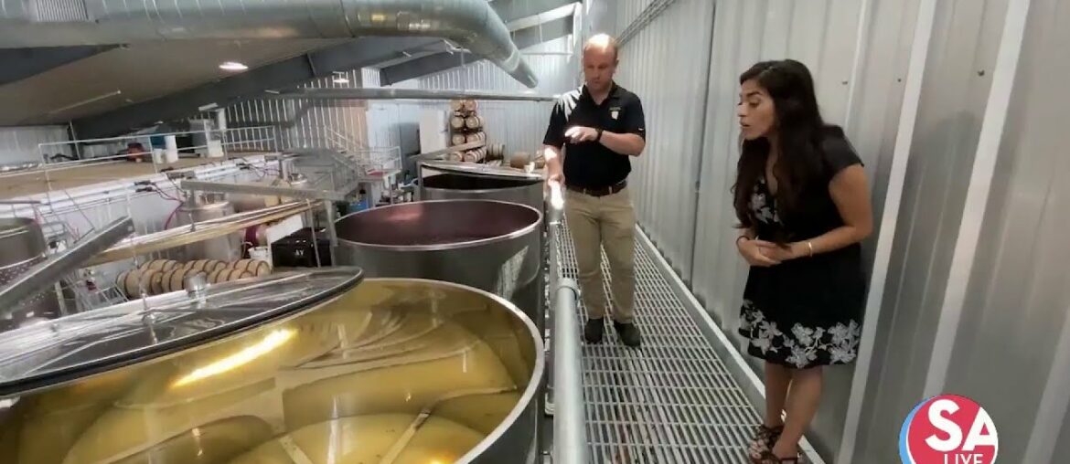 The art + science of wine-making at Augusta Vin Estate Winery | SA Live | KSAT 12