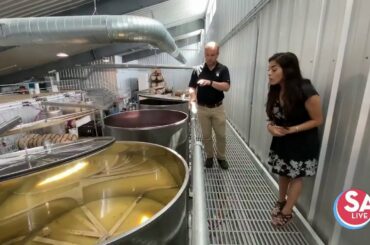The art + science of wine-making at Augusta Vin Estate Winery | SA Live | KSAT 12