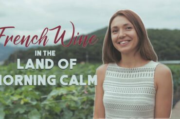 [한글자막] Half-Korean & French Woman CEO in Korea | Wine Culture in South Korea | The Halfie Project