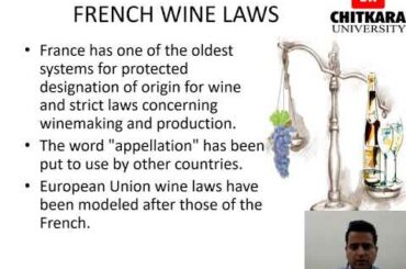French Wines and their Regions by Siddharth Bedi