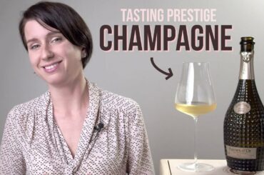 How Should We Be Tasting Champagne? | Wine Folly