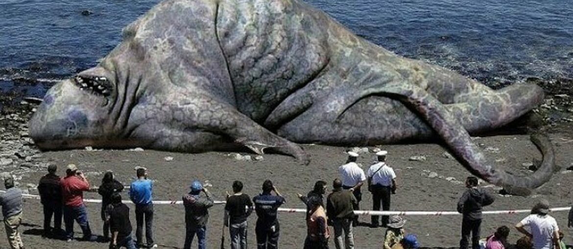 Top 20 Biggest Animal In The World You Wont Believe Exist In 2020 Top 20 Biggest Animal In The World You Wont Believe Exist In 2020