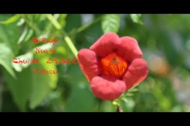 Live the good life in France. Large house for sale. suitable fpr B&B