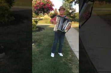 La Vie en Rose. Accordionist Larry Vittone