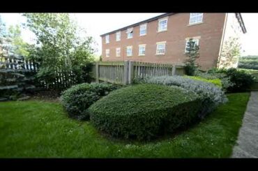 Proclamation Avenue, Rothwell