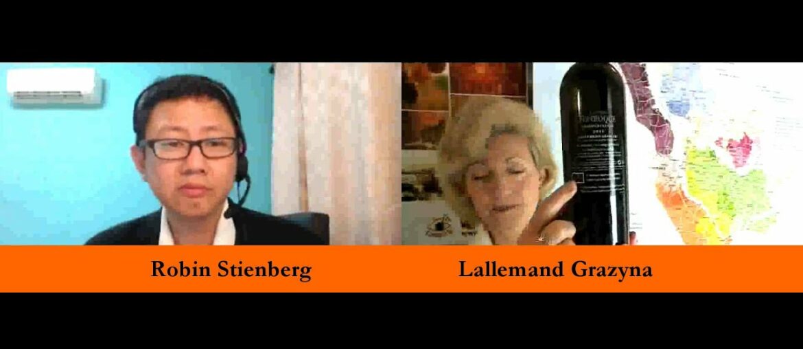 French Wines and the Future by Lallemand Grazyna with Robin Stienberg, National Critics Choice