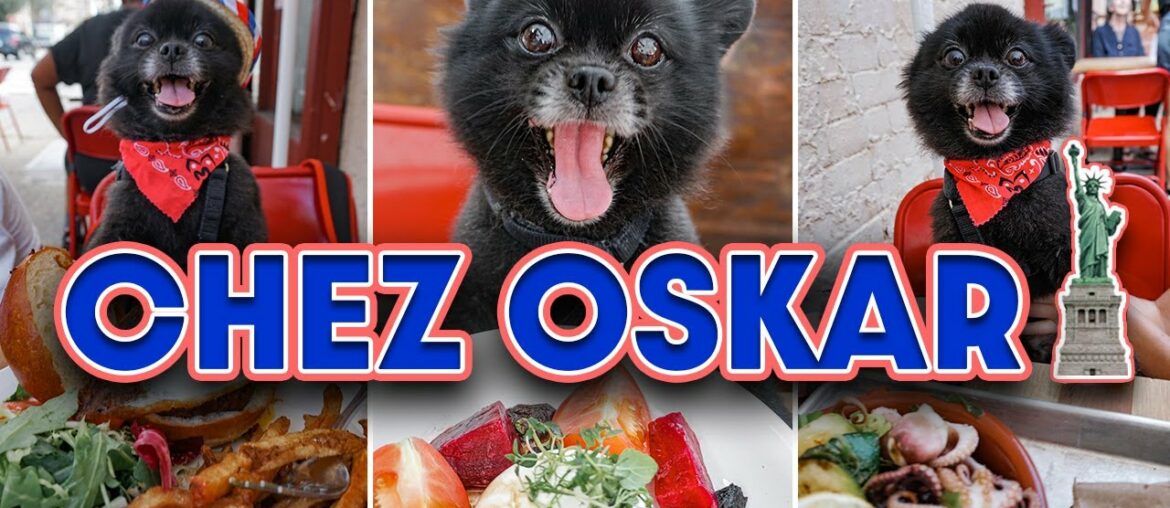 Dog Friendly NYC: We Head to Chez Oskar for the BEST MIMOSAS In Brooklyn! Dog Friendly NYC: We Head to Chez Oskar for the BEST MIMOSAS In Brooklyn!