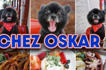 Dog Friendly NYC: We Head to Chez Oskar for the BEST MIMOSAS In Brooklyn!