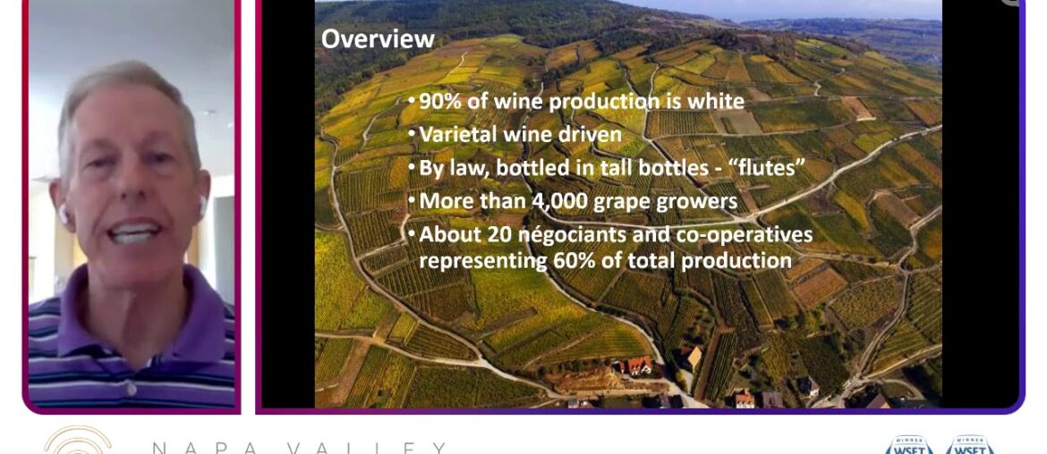 Study Hall Alsatian Wines