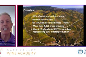 Study Hall Alsatian Wines